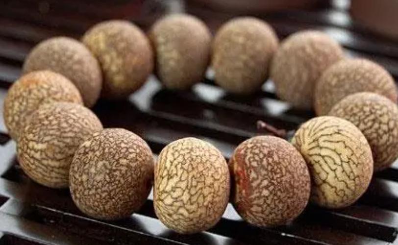 菩提是什么东西,菩提手串怎么盘