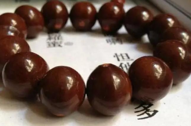 菩提是什么东西,菩提手串怎么盘