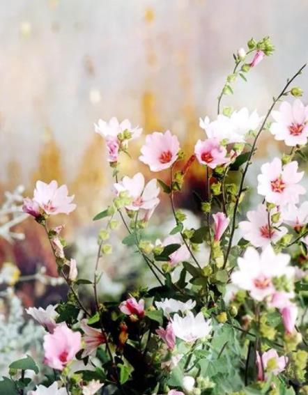 早起不能做的三件事,早起后这三件事不要做