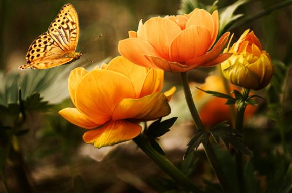 人死后会和死去的亲人重逢吗,人死了会和死去的亲人见面么