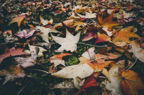 人死后会和死去的亲人重逢吗,人死了会和死去的亲人见面么