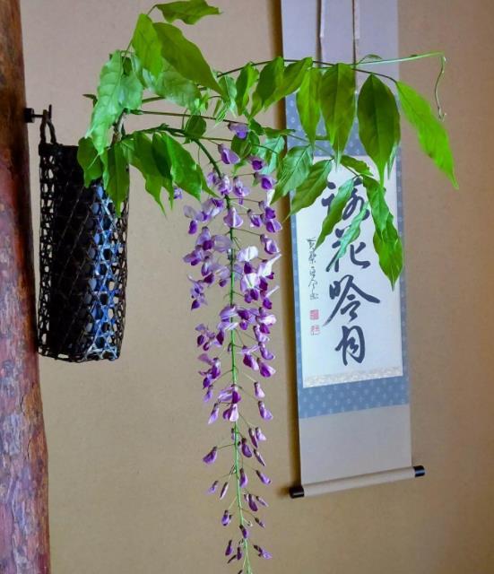 心情低落发朋友圈的句子,心情不好的时候发朋友圈的句子