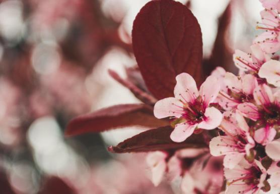 40-50岁离婚忠告,40多岁的夫妻冷战怎么挽回