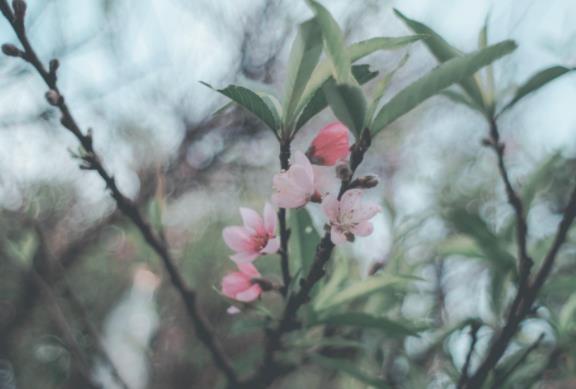 40-50岁离婚忠告,40多岁的夫妻冷战怎么挽回