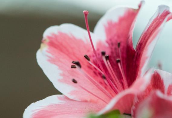 40-50岁离婚忠告,40多岁的夫妻冷战怎么挽回