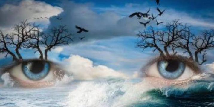 男孩聪明看哪三处，怎样看出一个人智商高