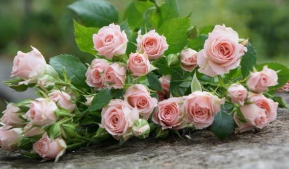 男人爱你的14个细节