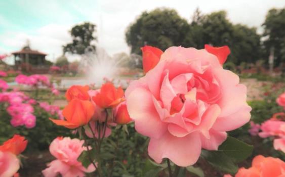 男人爱你的14个细节