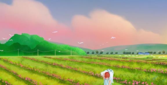 第一次同居最怕是什么,第一次同居女生心理