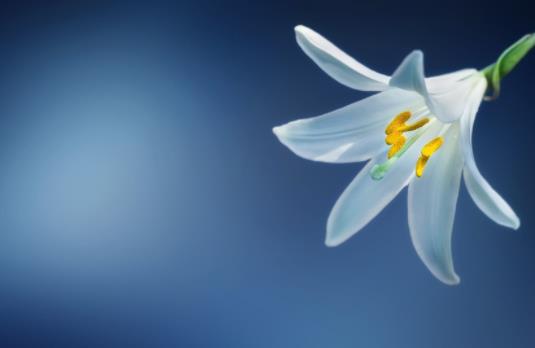 父亲与大女儿发生矛盾后的心情