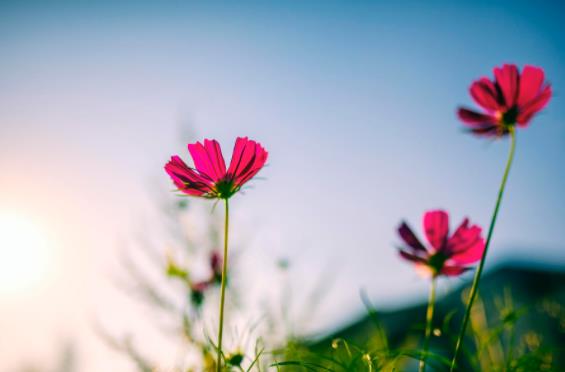 父亲与大女儿发生矛盾后的心情