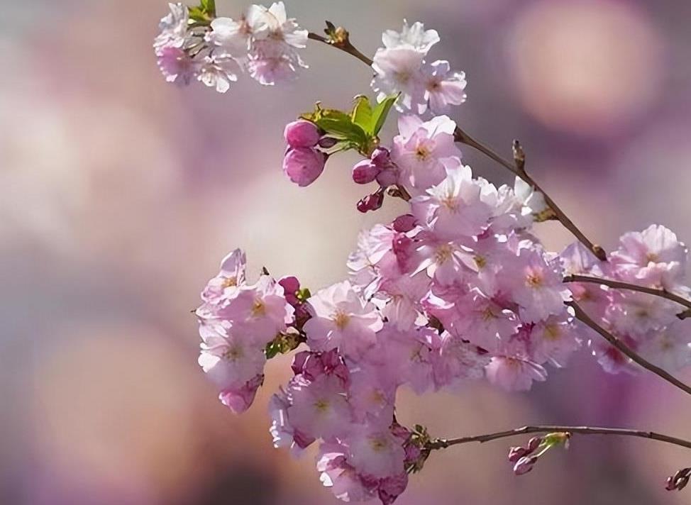 女人暗示你亲近她10个表现,女人想让你亲近她的表现