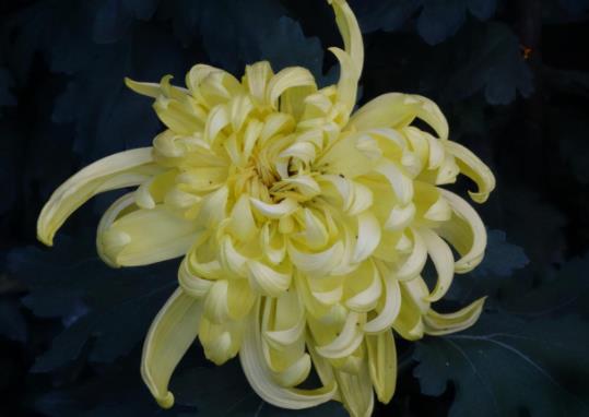 一旦男人开始摸你的头代表什么，女人一旦收了男人的钱就是接受吗