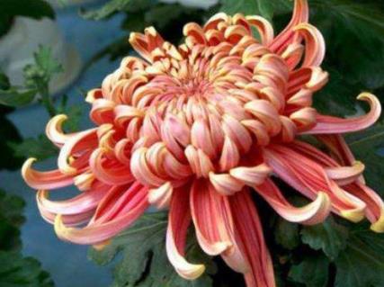 一旦男人开始摸你的头代表什么，女人一旦收了男人的钱就是接受吗