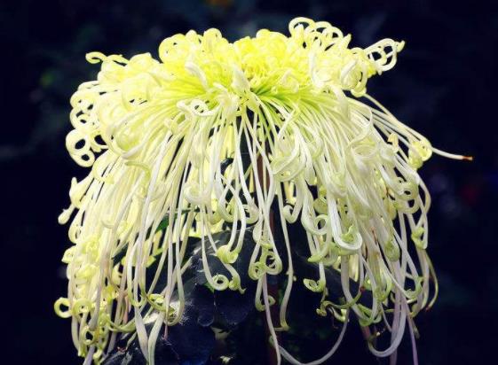 一旦男人开始摸你的头代表什么，女人一旦收了男人的钱就是接受吗