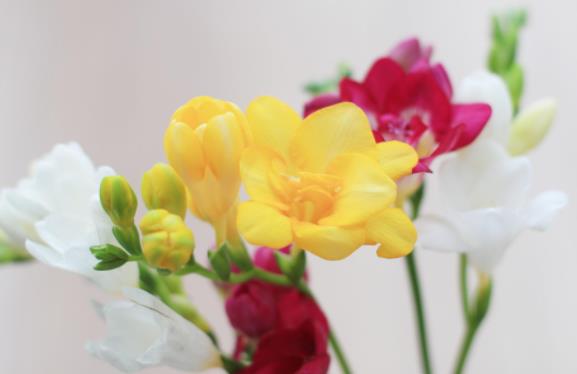 从接吻看男人性格,从接吻方式看出男人的性格