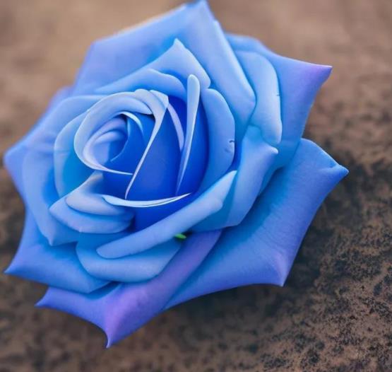 从接吻看男人性格,从接吻方式看出男人的性格