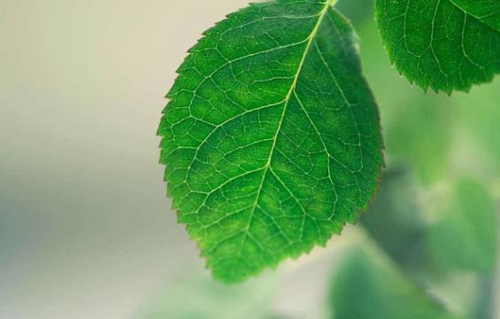 女方同意你越界的肢体表现,异性越界的六种表现