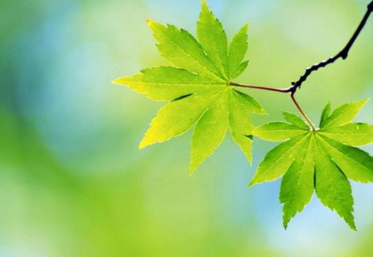 女方同意你越界的肢体表现,异性越界的六种表现