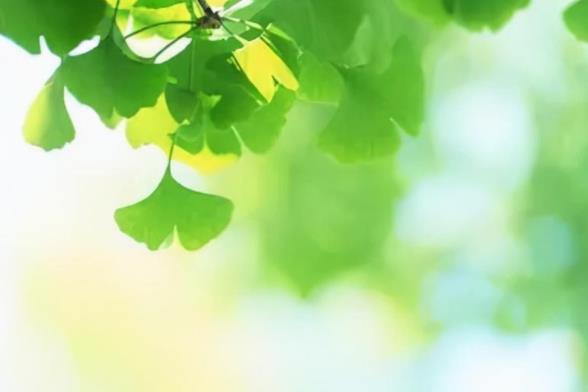 女方同意你越界的肢体表现,异性越界的六种表现