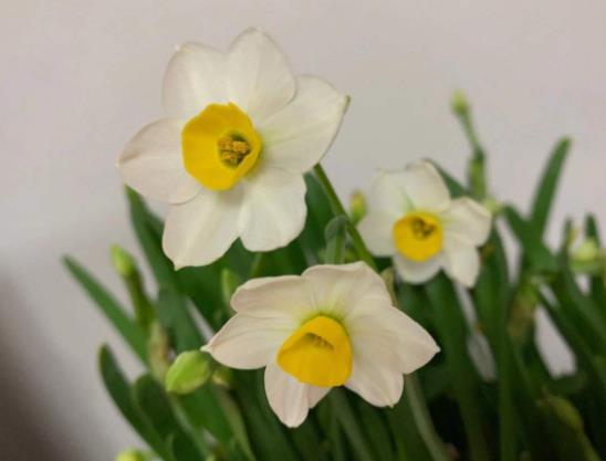 人体最脏的三个地方，女人身上一般有哪些脏东西