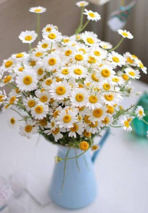 女人出轨十句忠告,不要嫁三种家庭的忠告