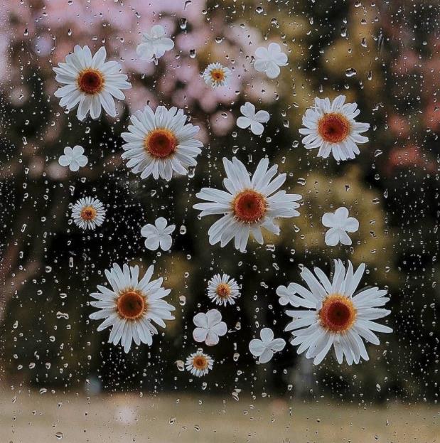 女人出轨十句忠告,不要嫁三种家庭的忠告