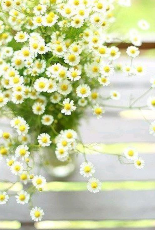 女人出轨十句忠告,不要嫁三种家庭的忠告