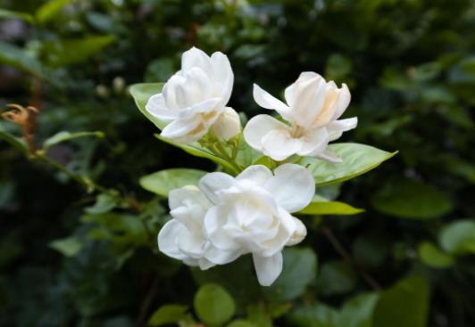 老太太出轨还能继续过日子吗,老太太出轨还能治吗