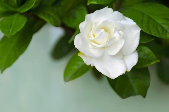 老太太出轨还能继续过日子吗,老太太出轨还能治吗