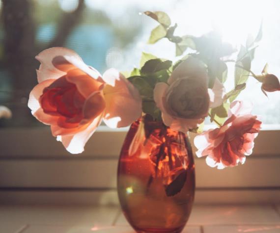 被对方折腾到绝望的感情怎么办,感情里对方绝望了怎么办