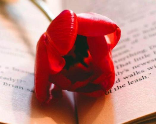 女人能忍多久不与男人联系,女生分手一般能忍多久不联系