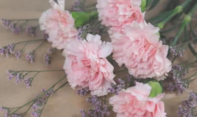 老了被异性欢迎的生肖女,老了被所有男人欢迎的生肖女