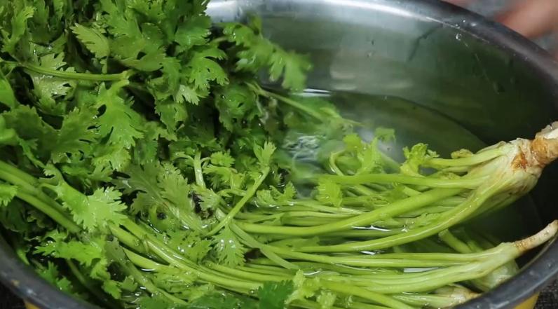 香菜又叫什么名字,香菜怎么保存新鲜不烂