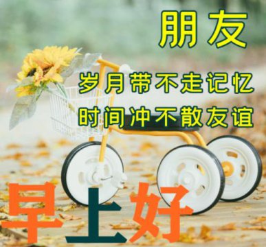 早上好友谊永久牵挂图片