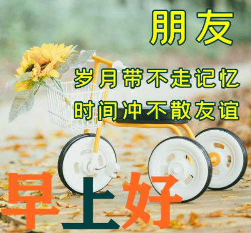 早上好友谊永久牵挂图片