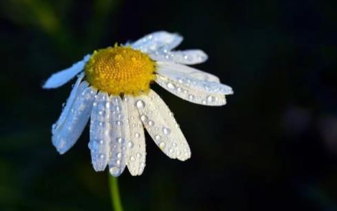 老男人出轨的六种表现,老男人出轨的5个征兆