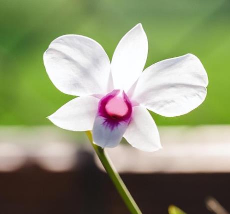 老男人出轨的六种表现,老男人出轨的5个征兆