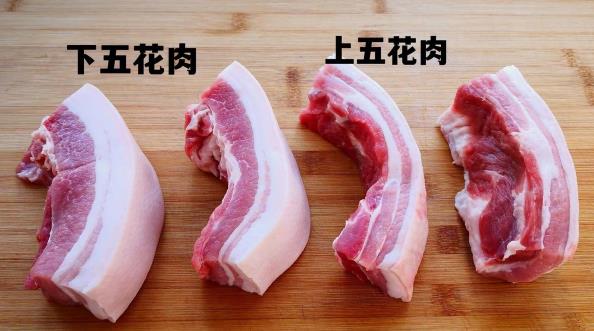 上五花和下五花图解