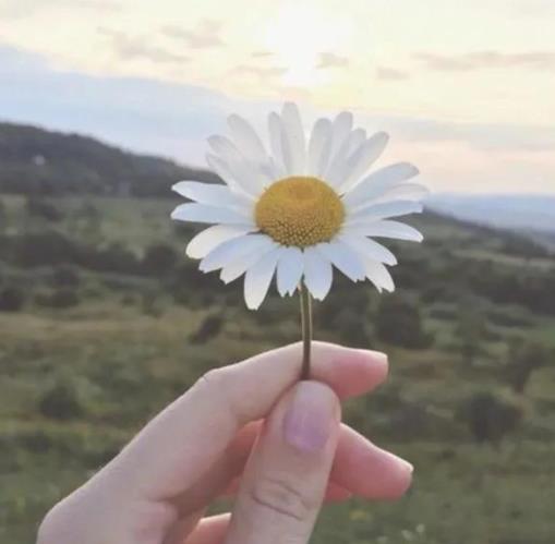 丈母娘和女婿住一起有什么讲究，跟丈母娘住一起好不好