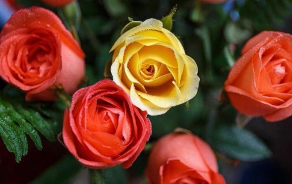 老男人最爱做的两件事,很坏的老男人特征