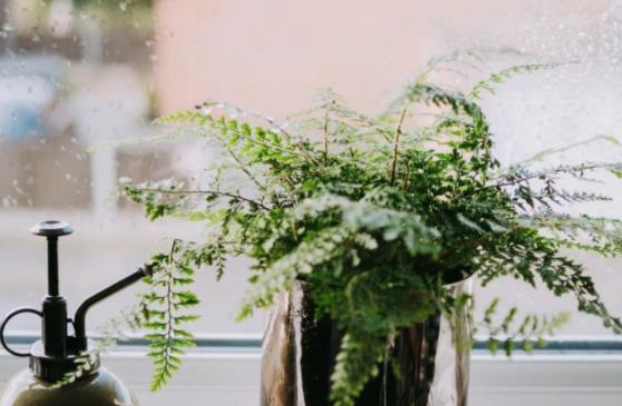 丈夫的婚外情结局,品尝婚外情的恶果是什么