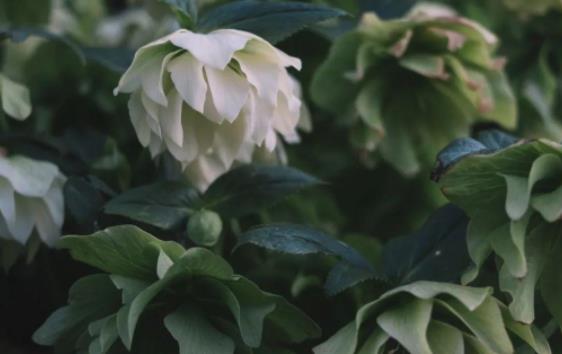 丈夫的婚外情结局,品尝婚外情的恶果是什么