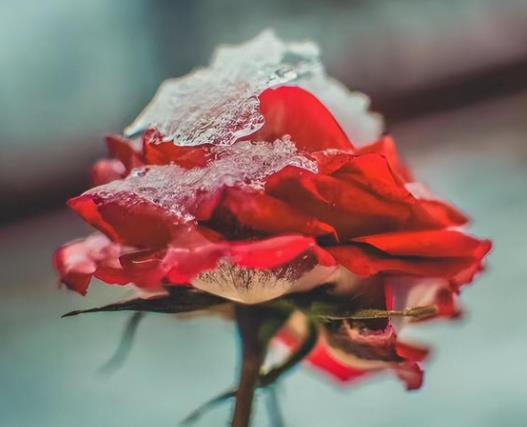 婚外情一旦超过十年会怎样,为什么女人一旦出轨就无法挽回