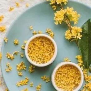 离婚后跟儿子住一起投奔他好吗,离婚和父亲住一起好不好