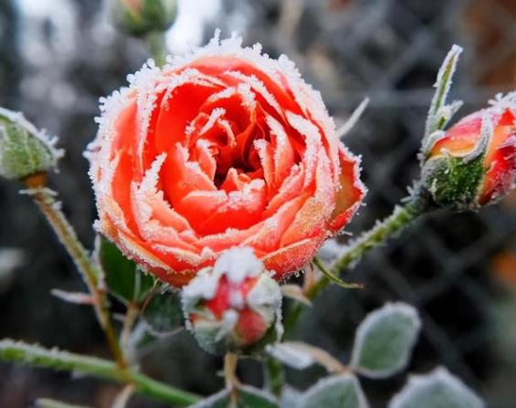 女人喜欢威猛的还是清秀的男人,女人想要的男人是什么样的
