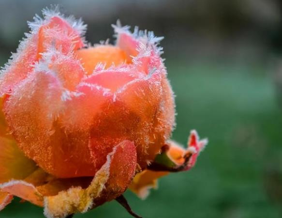 女人喜欢威猛的还是清秀的男人,女人想要的男人是什么样的