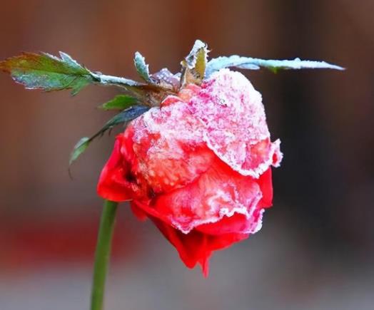 女人喜欢威猛的还是清秀的男人,女人想要的男人是什么样的