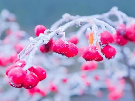 睡床一定要男左女右睡吗,初次同居一定要知道的事