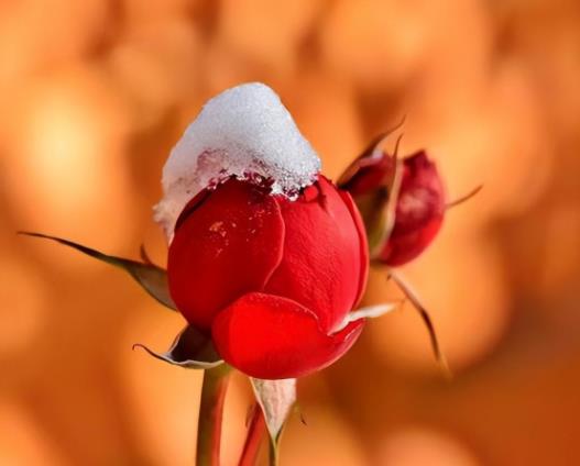 睡床一定要男左女右睡吗,初次同居一定要知道的事